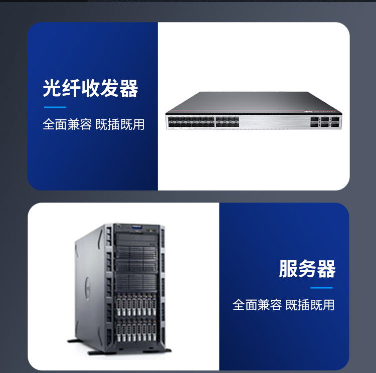 100G single-mode optical module