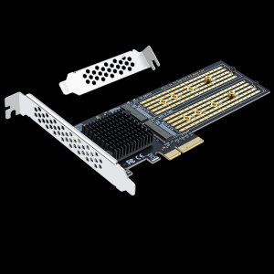 PCI-EX4 to M.2 dual-port expansion card (20G)